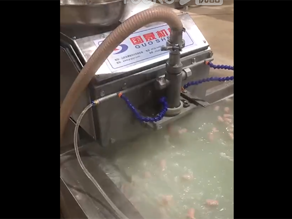 蒸煮線(xiàn)視頻